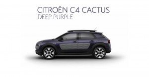 les enjoliveuses, Citroën, C_42, C4 Cactus, nouvelle C1