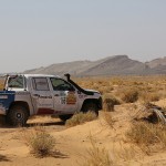 les enjoliveuses, Volkswagen, amarok, rallye aicha des gazelles, maroc