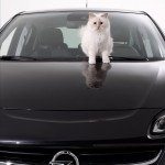 karl lagerfeld, choupette, chat, calendrier, opel, corsa, calendrier opel