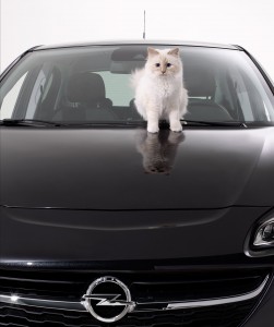 karl lagerfeld, choupette, chat, calendrier, opel, corsa, calendrier opel