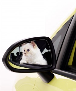 karl lagerfeld, choupette, chat, calendrier, opel, corsa, calendrier opel