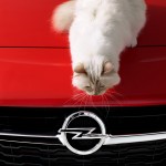 karl lagerfeld, choupette, chat, calendrier, opel, corsa, calendrier opel