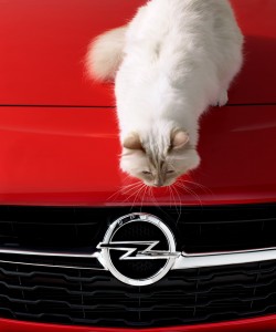 karl lagerfeld, choupette, chat, calendrier, opel, corsa, calendrier opel