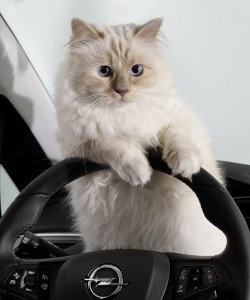 karl lagerfeld, choupette, chat, calendrier, opel, corsa, calendrier opel