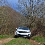 kia, sorento, kia sorento, surf, suv, monospace, voiture familiale