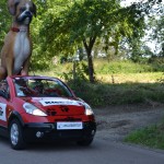 tour de france, tour de france 2015, kleber, pneus, caravane, caravane publicitaire