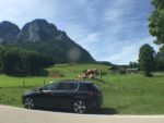 peugeot, 308, peugeot 308, berline, berline compacte, essai, testdrive