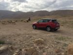 seat, seat arona, arona, suv, crossover, suv urbain, crossover compact, essai, testdrive, israel