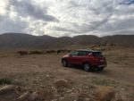 seat, seat arona, arona, suv, crossover, suv urbain, crossover compact, essai, testdrive, israel