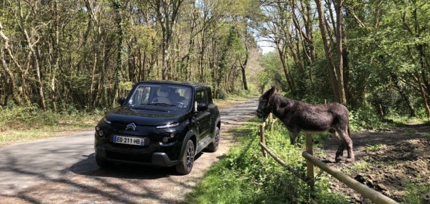 citroen, e-mehari, citroen e-mehari, essai, testdrive, voiture electrique, courreges