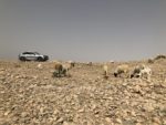 essai, testdrive, volkswagen, touareg, suv, crossover, 4x4, volkswagen touareg, maroc, desert, atlas