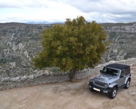 jeep, wrangler, jeep wrangler, essai, testdrive, 4x4, SUV