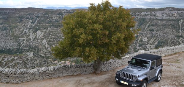 jeep, wrangler, jeep wrangler, essai, testdrive, 4x4, SUV