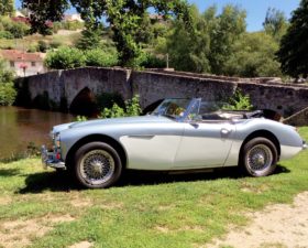 voiture ancienne, voitures anciennes, voiture de collection, acheter voiture de collection, austin healey