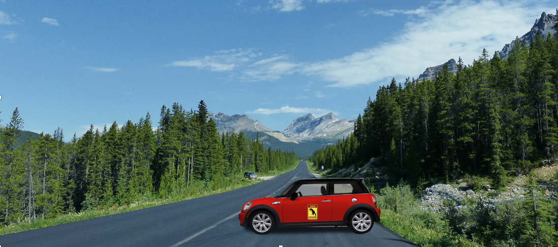 Autocollant De Voiture Fun Pour Personnaliser Son Auto
