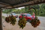 clemence de bernis, m6 turbo, roadtrip, ford puma, guyane,