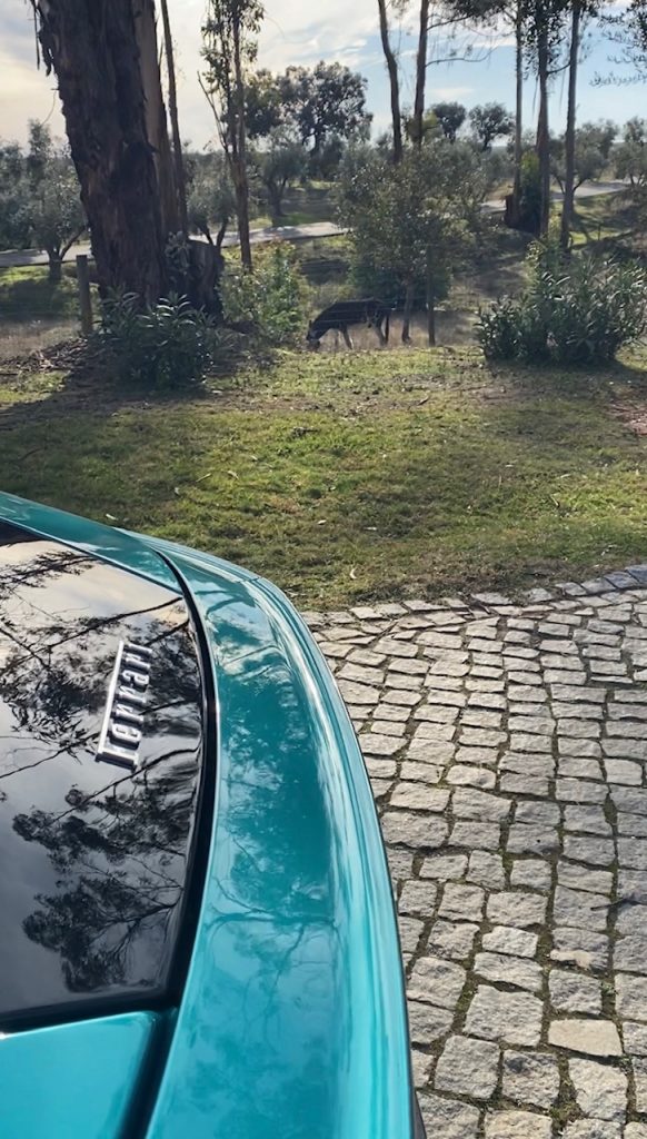 Ferrari, Amalfi, GT, V8, Ferrari Amalfi, essai, testdrive